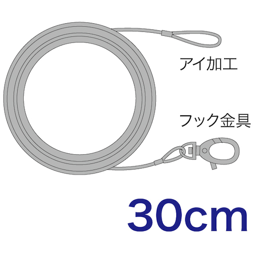 STM-WR�� ��t�p���C���[