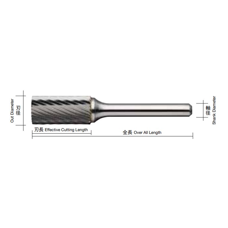 CB1-S-L xdo[ CBV[Y TYPE1 XpC O^Cv