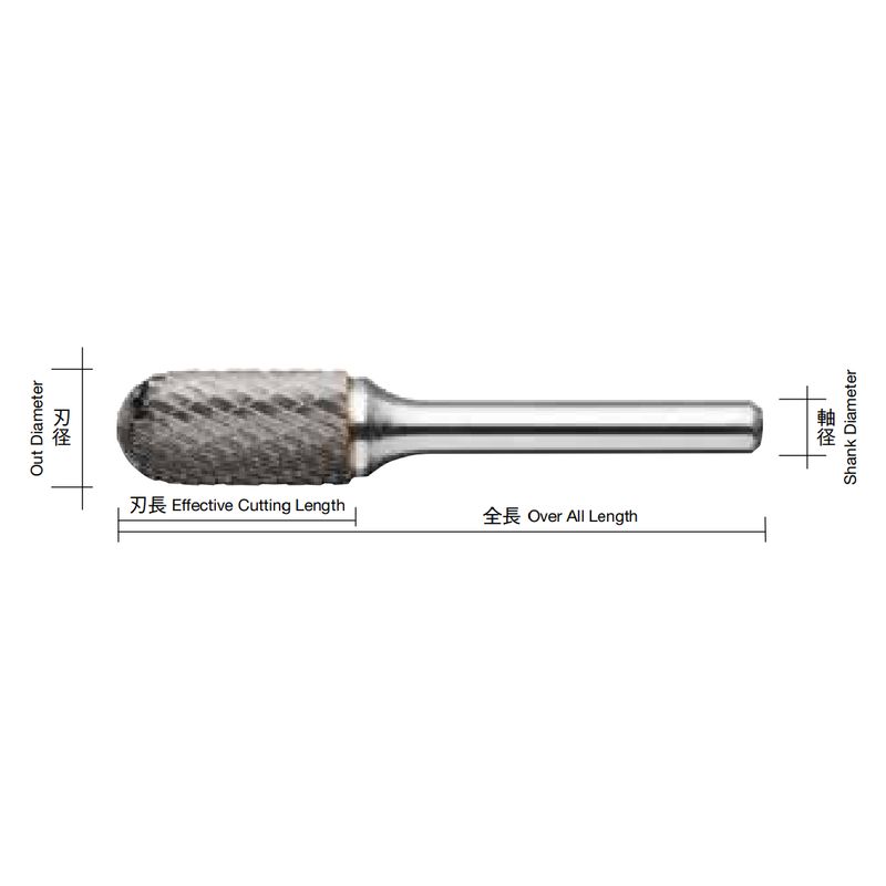 CB2--L xdo[ CBV[Y TYPE2 NX O^Cv