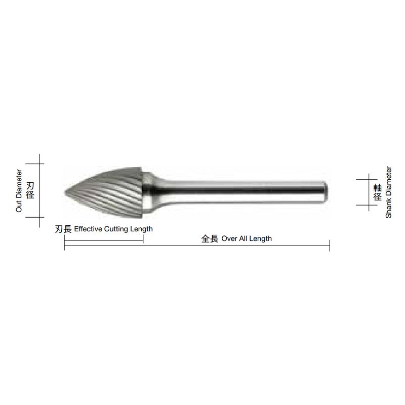 CB4-TG xdo[ CBV[Y TYPE4 `^R[eBO^Cv