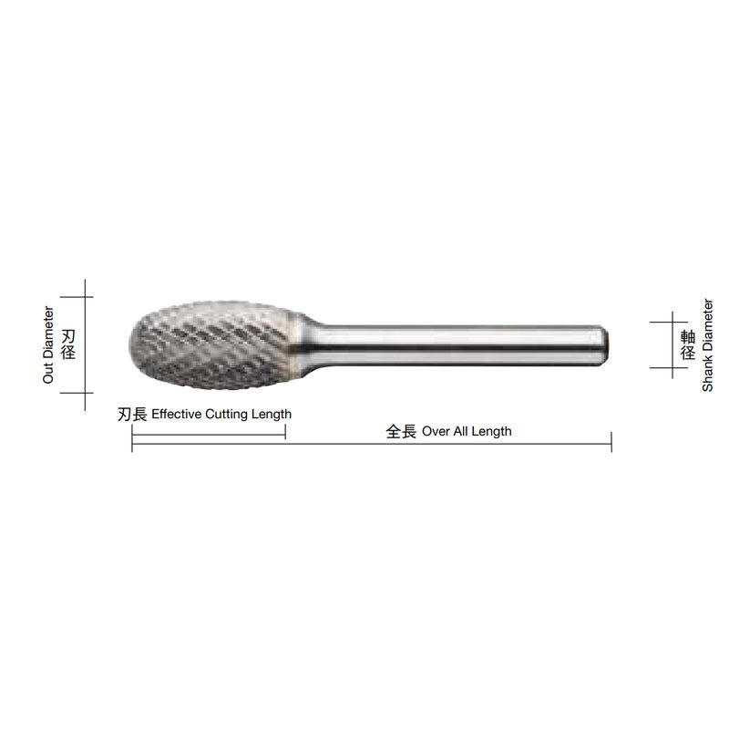 CB6--L xdo[ CBV[Y TYPE6 O^Cv