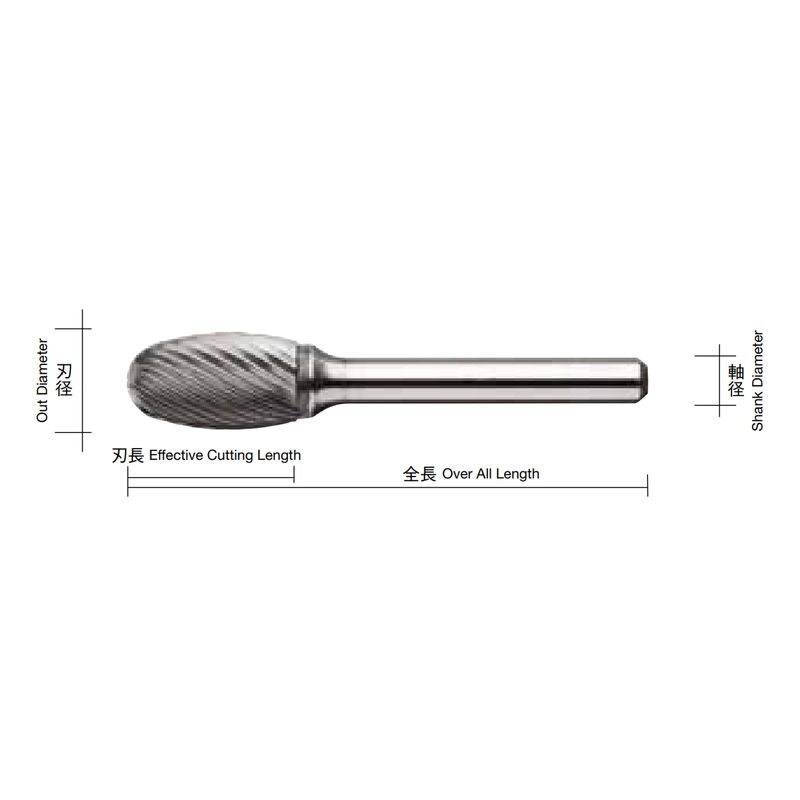 CB6-S xdo[ CBV[Y TYPE6 XpC