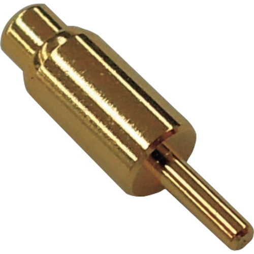 SYJ-2036 �X�v�����O��v���[�u(5��)