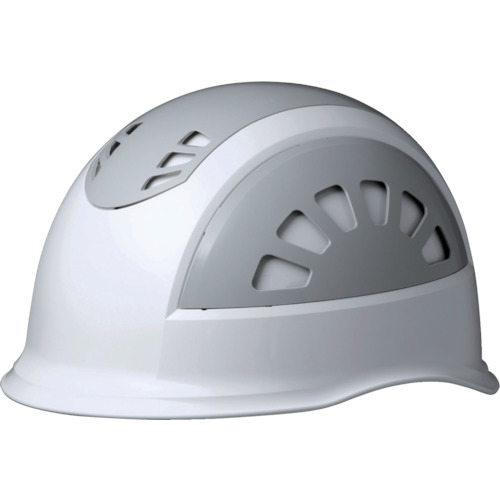 SC17BVRASKPWGY TCYwbg ABS ʋCEt