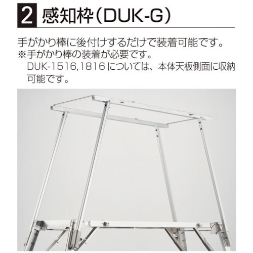 ���m�g(DUK-1516�p)(17876)