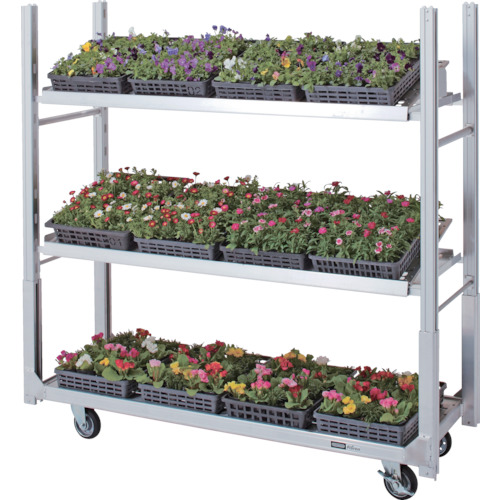 �t���[�����J�[�S ND�^(4�֎��݃L���X�^�[)