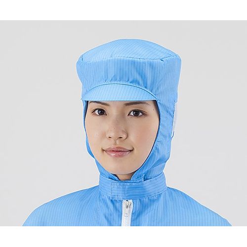 2-2125-�� �s���A�N�b�V�����t�[�h ��