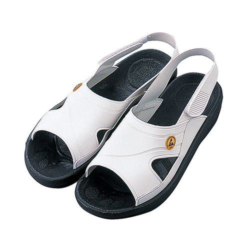 4-1207-�� �A�Y�s���AESD�T���_�� ��