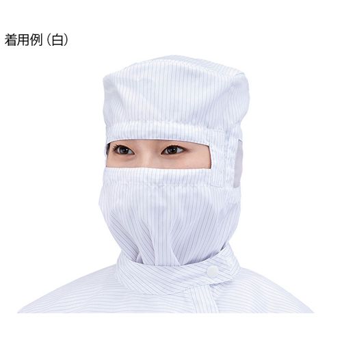 4-3170-04 �A�Y�s���A�N���[���t�[�hII ��