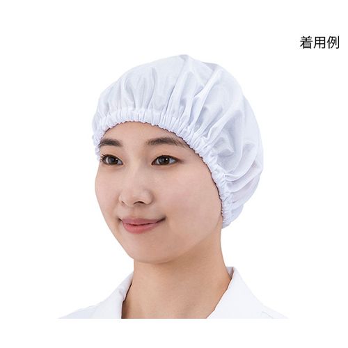 4-3178-�� �A�Y�s���A�w�A�L���b�v