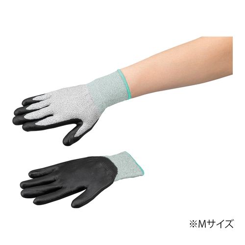 4-5550- AYc[ϐؑnjgR[gXD