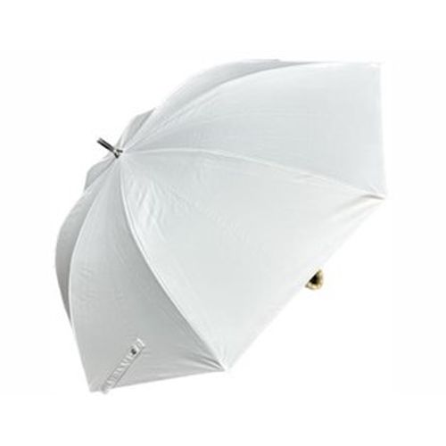 17155 P zCg