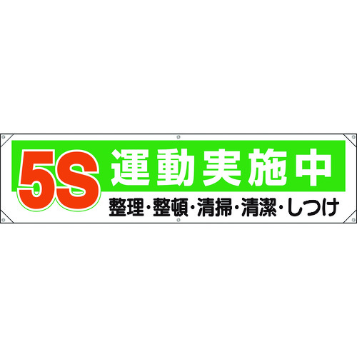 354-131  5S^{
