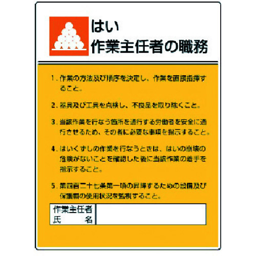 808-06 ƎCҐE ͂ƁcGRj{[h