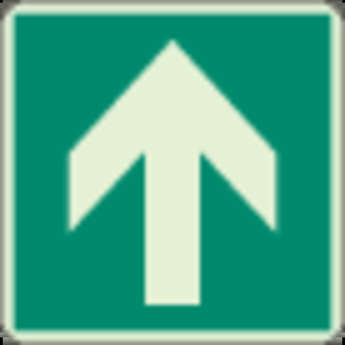 829-11A ���ʗU���W�� ��� �~��