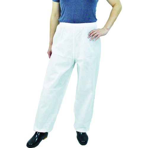  LIVMOA3000 ی앞(Y{)ʋC^Cv