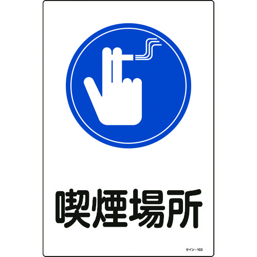 094103 CXgW iꏊ TC[103 450x300mm Gr