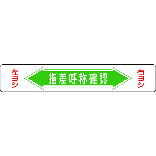 101005 HʗpW wď̊mFEVV H-5 150x900mm Gr ʌЕt