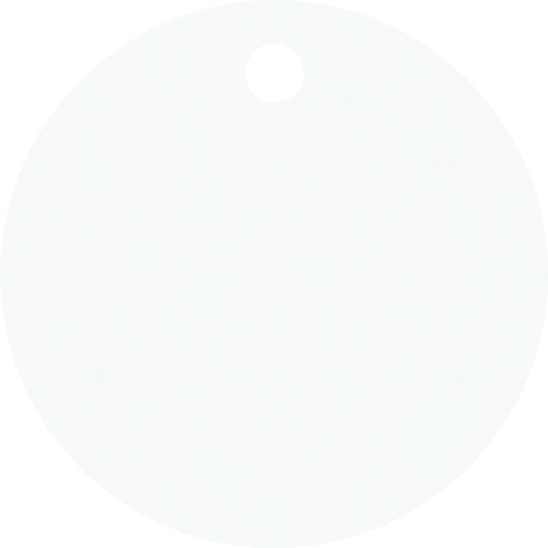 306002 A~ێD(nD) Vo[ A~D-B 30mmx0.8mm 10g