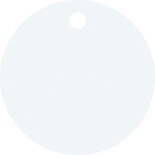 306012 XeXێD(nD) Vo[ XeXD-B 30mmx0.8mm 10g