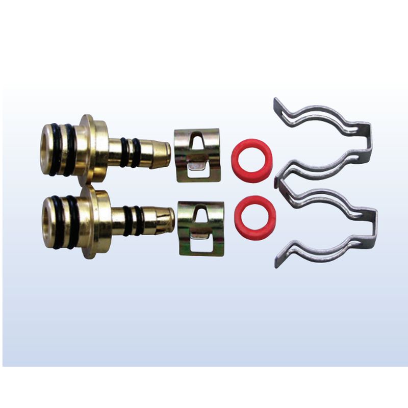 C2-9P zpp 10p^b` ptBbg